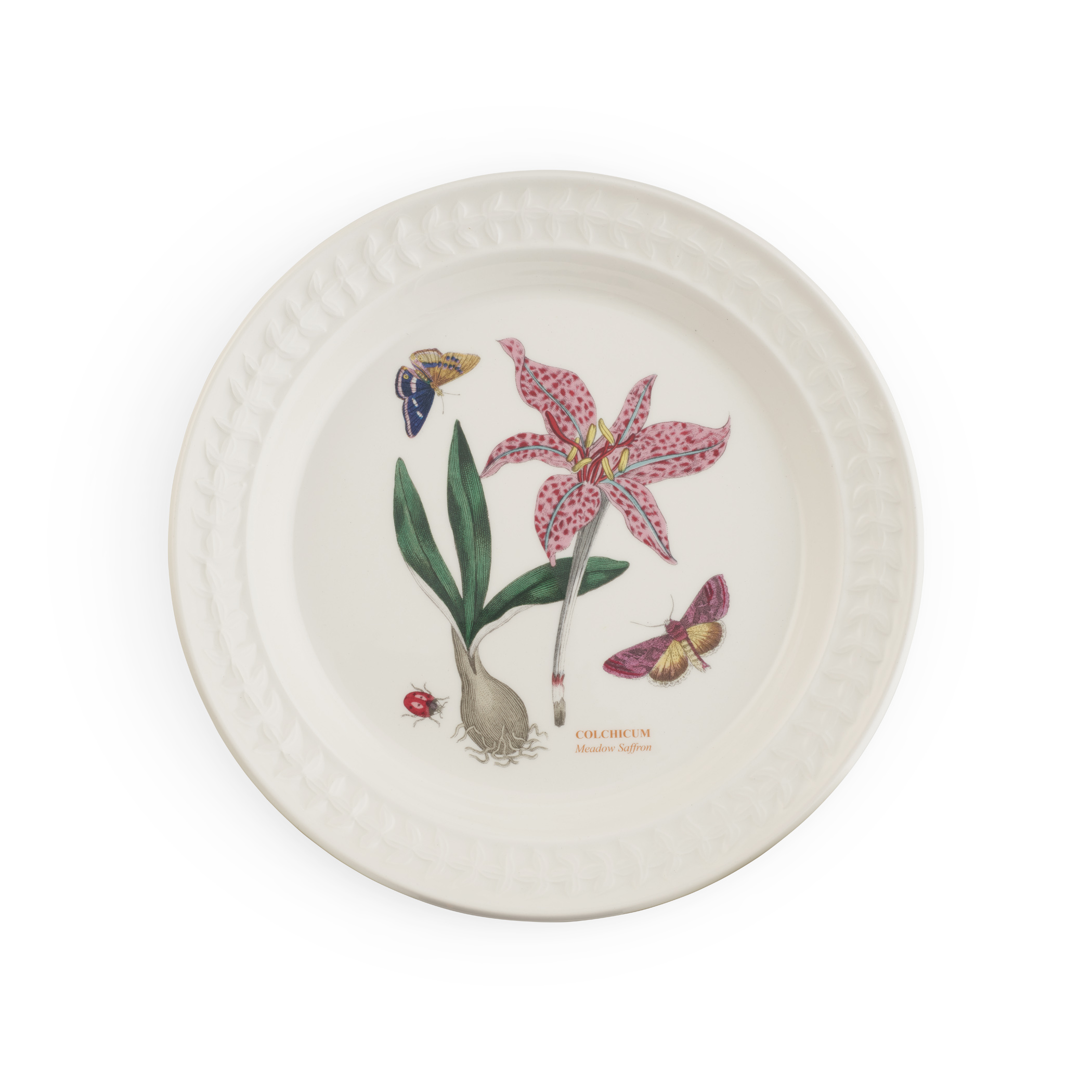 Botanic Garden Harmony Papilio Amethyst 10.5 Inch Dinner Plate (Meadow Saffron) image number null